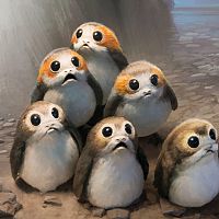 Porgs