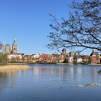 Zurück in Stralsund