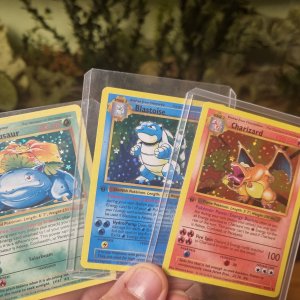 catch em all