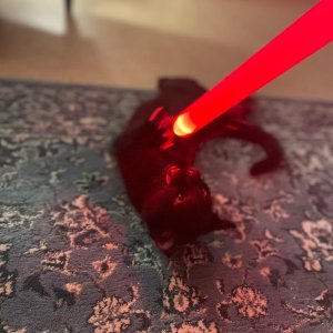 Katze hat Lichtschwert gefunden xD