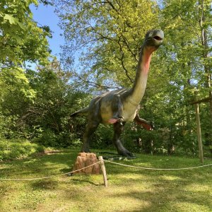 Osnabrücker Zoo