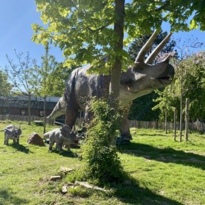 Osnabrücker Zoo