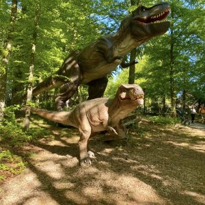 Osnabrücker Zoo