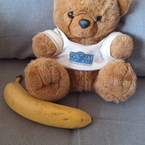 PSW-Teddy