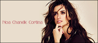 Banner 1