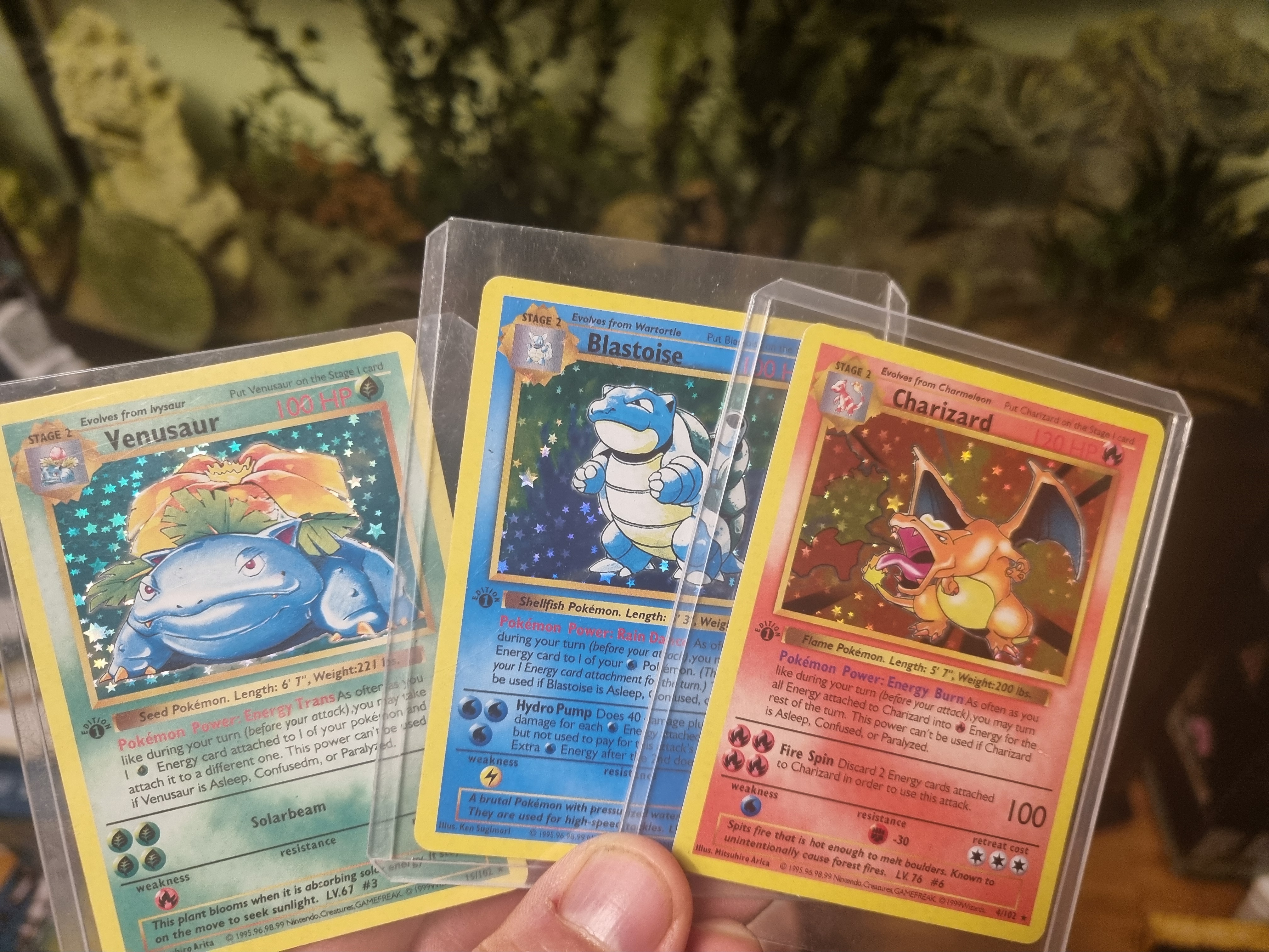 catch em all
