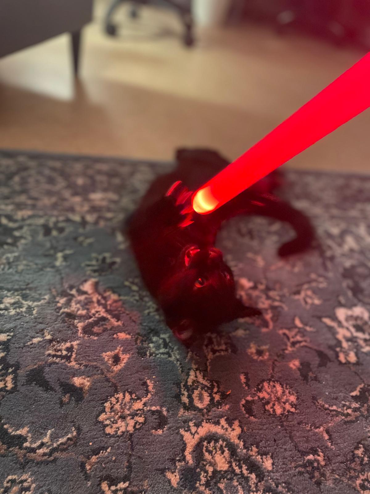 Katze hat Lichtschwert gefunden xD