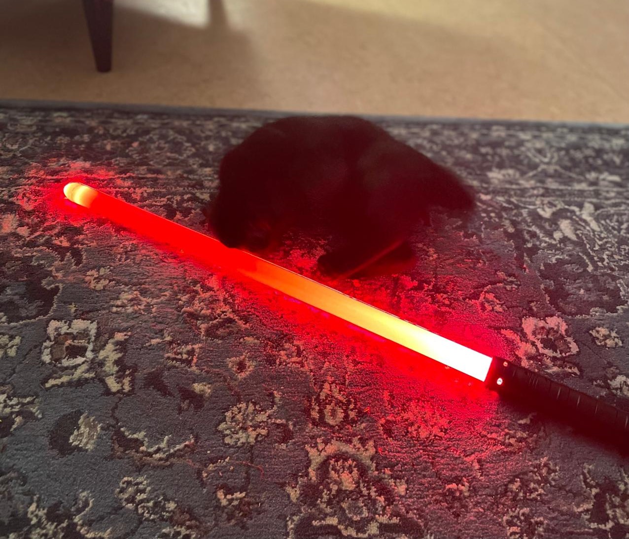Katze und Lichtschwert 2