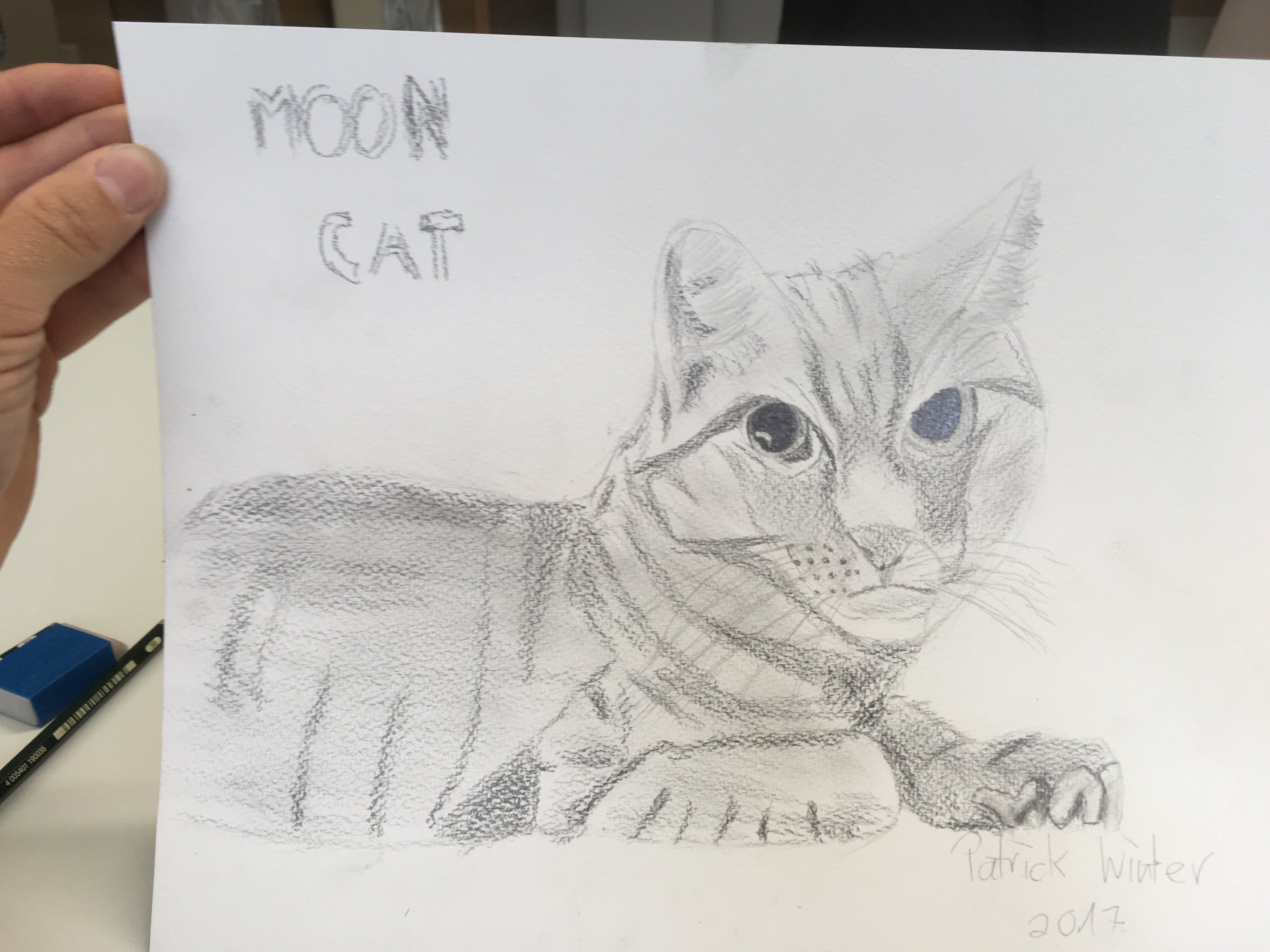 Moon Cat