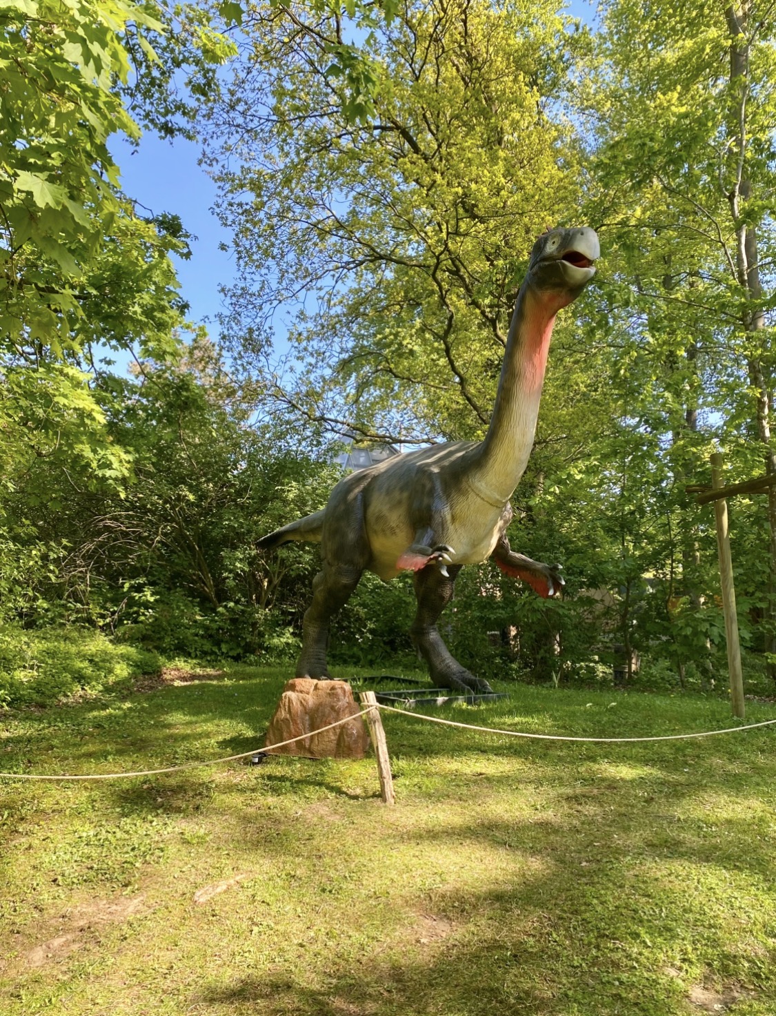 Osnabrücker Zoo