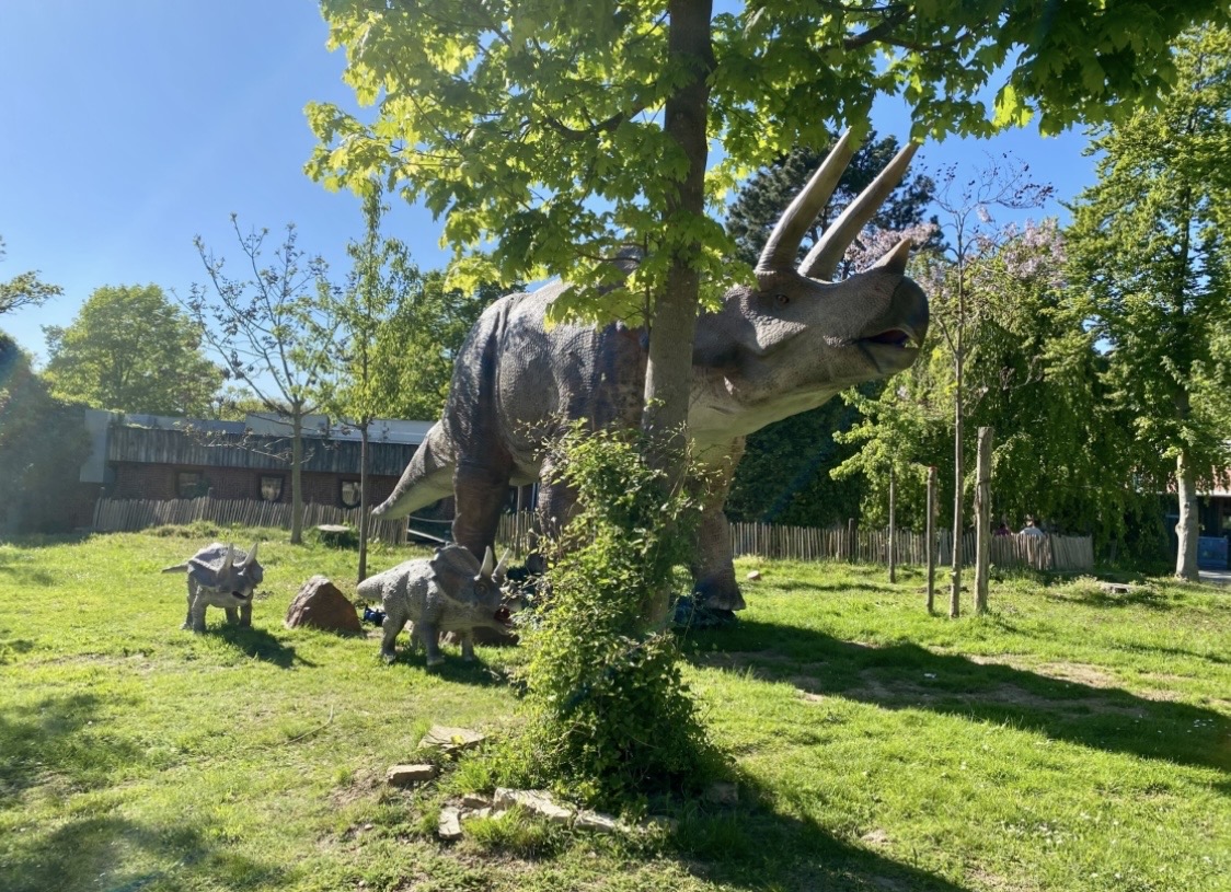 Osnabrücker Zoo
