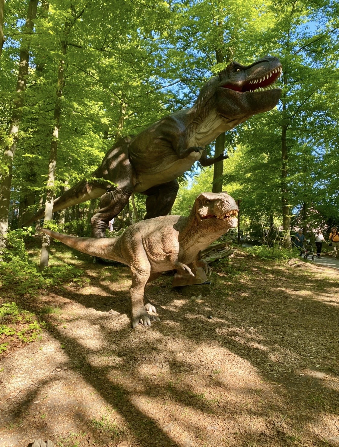 Osnabrücker Zoo