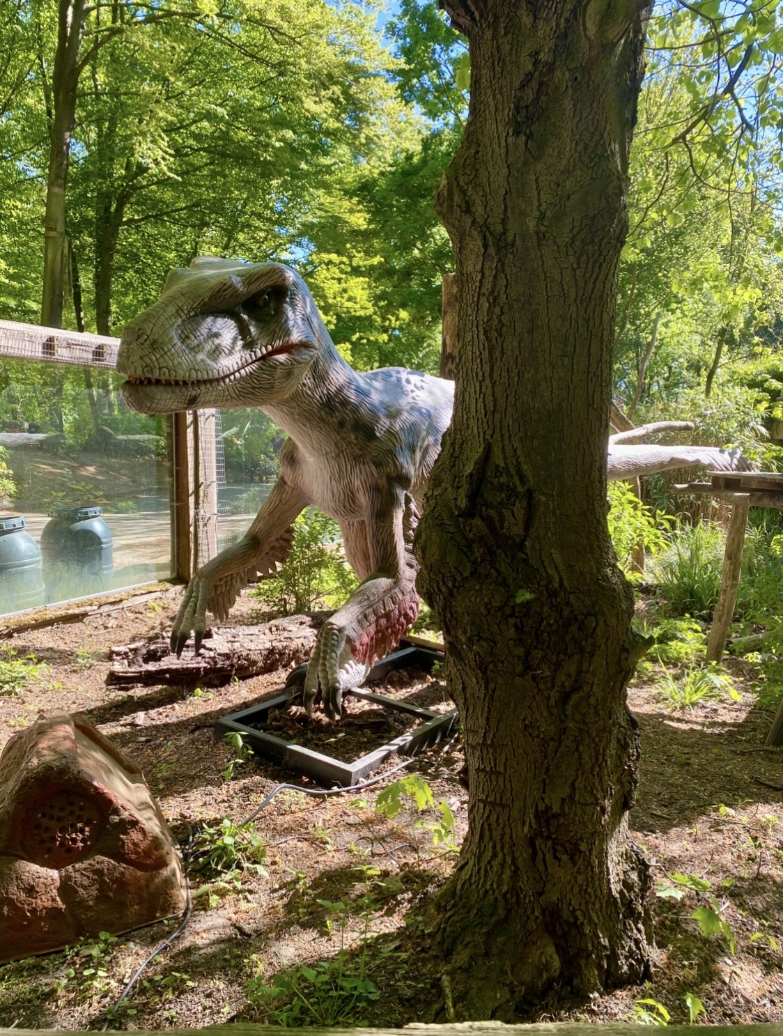 Osnabrücker Zoo