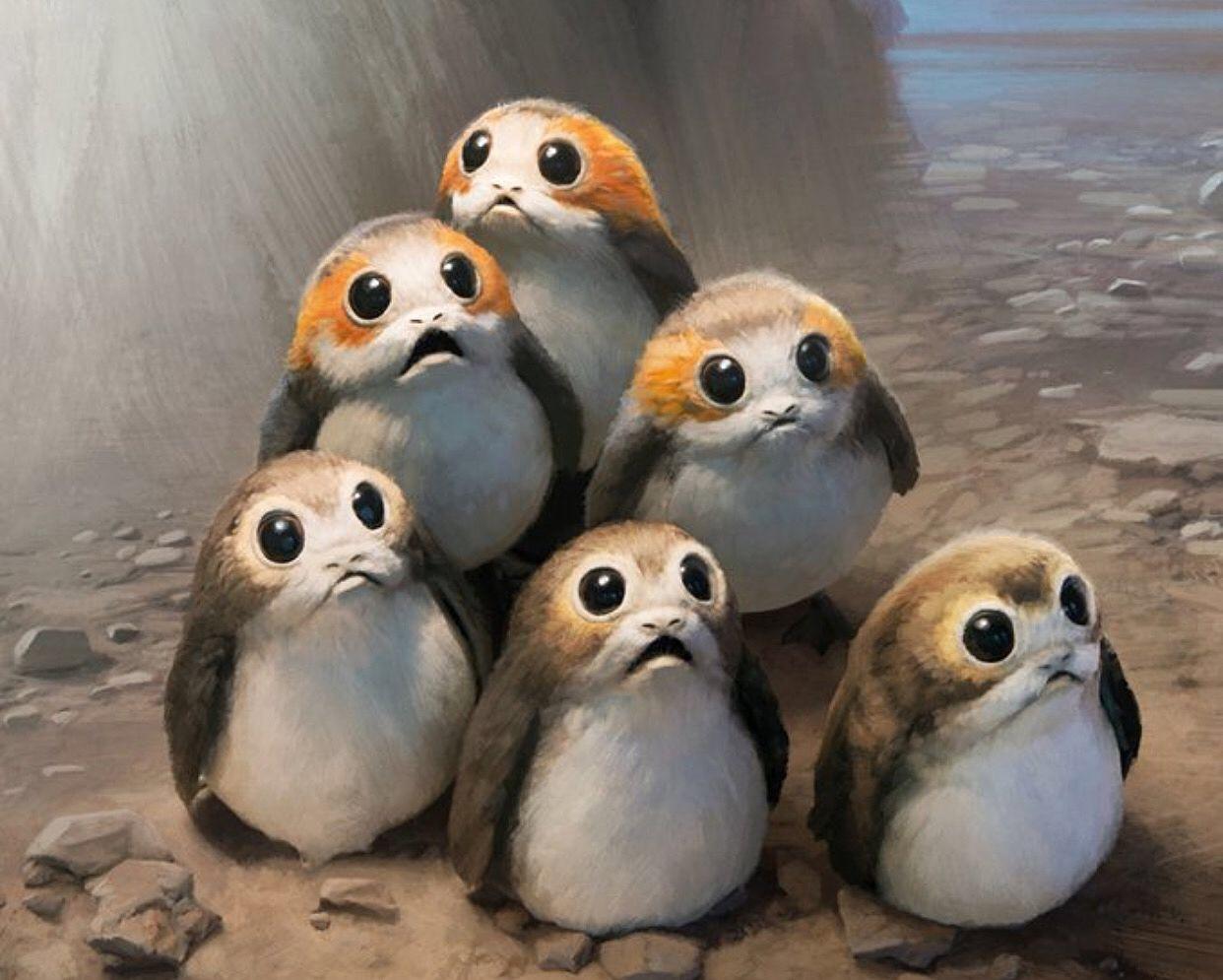 Porgs