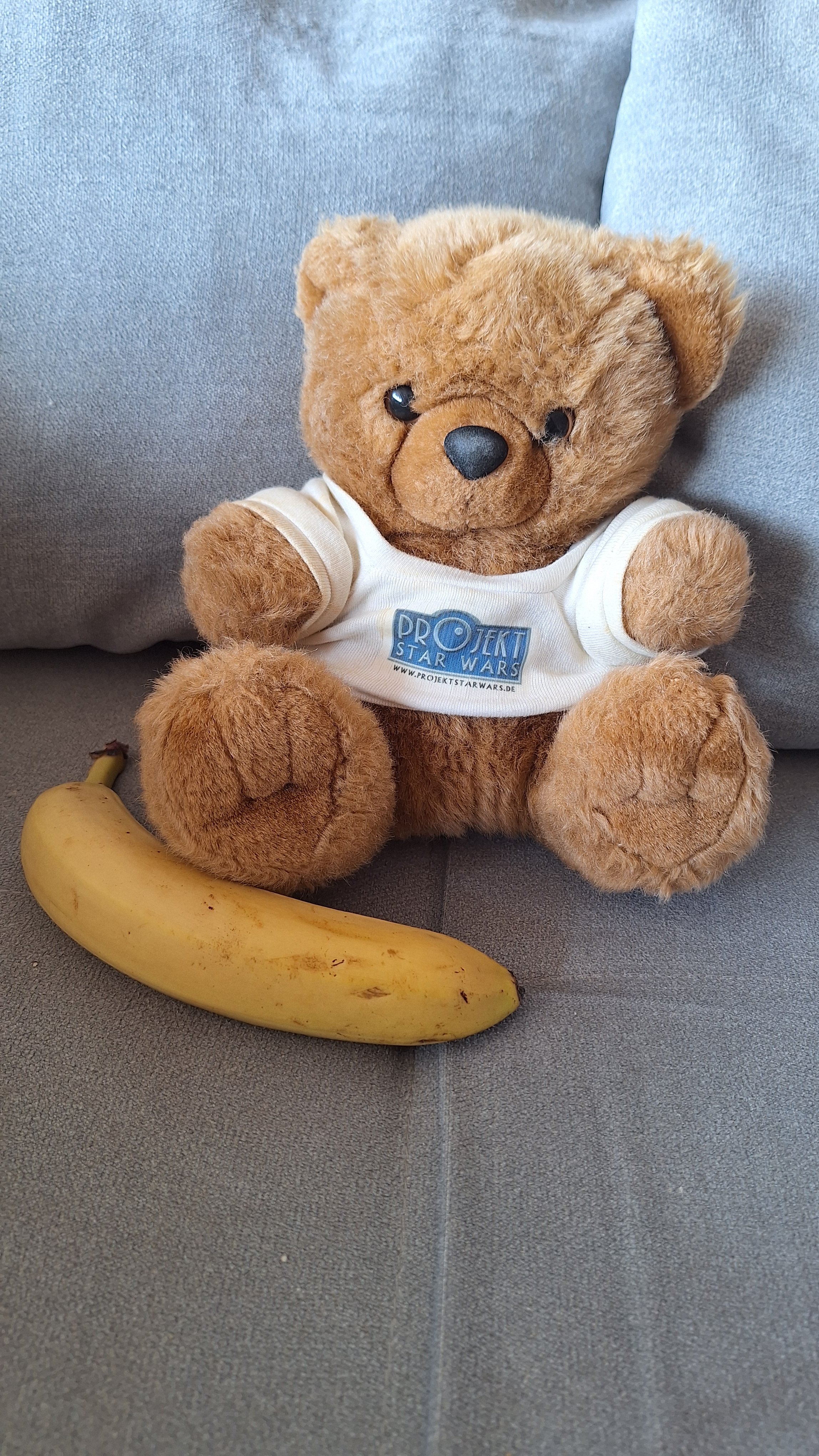 PSW-Teddy