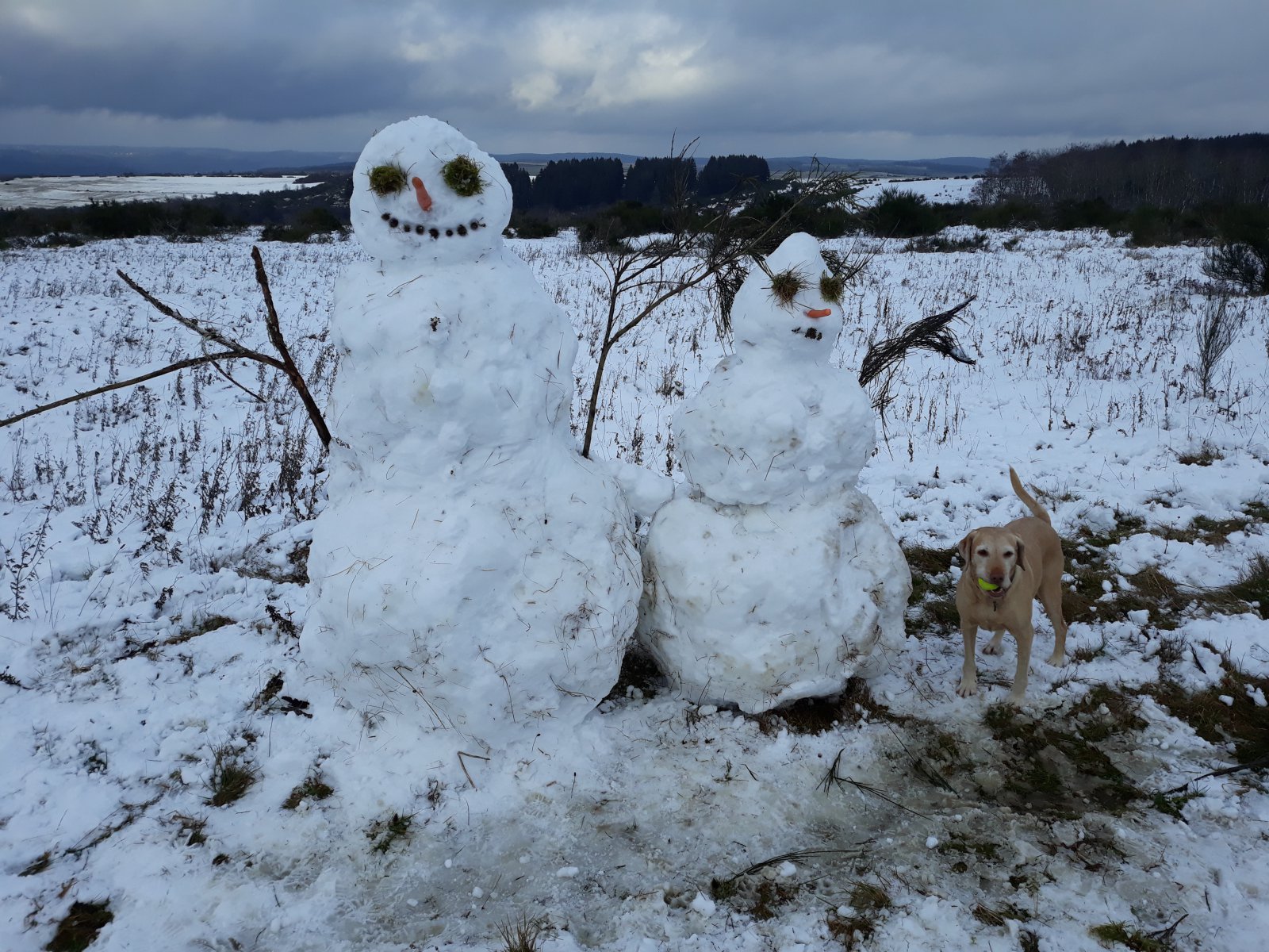 Schneemenschen auf Hoth