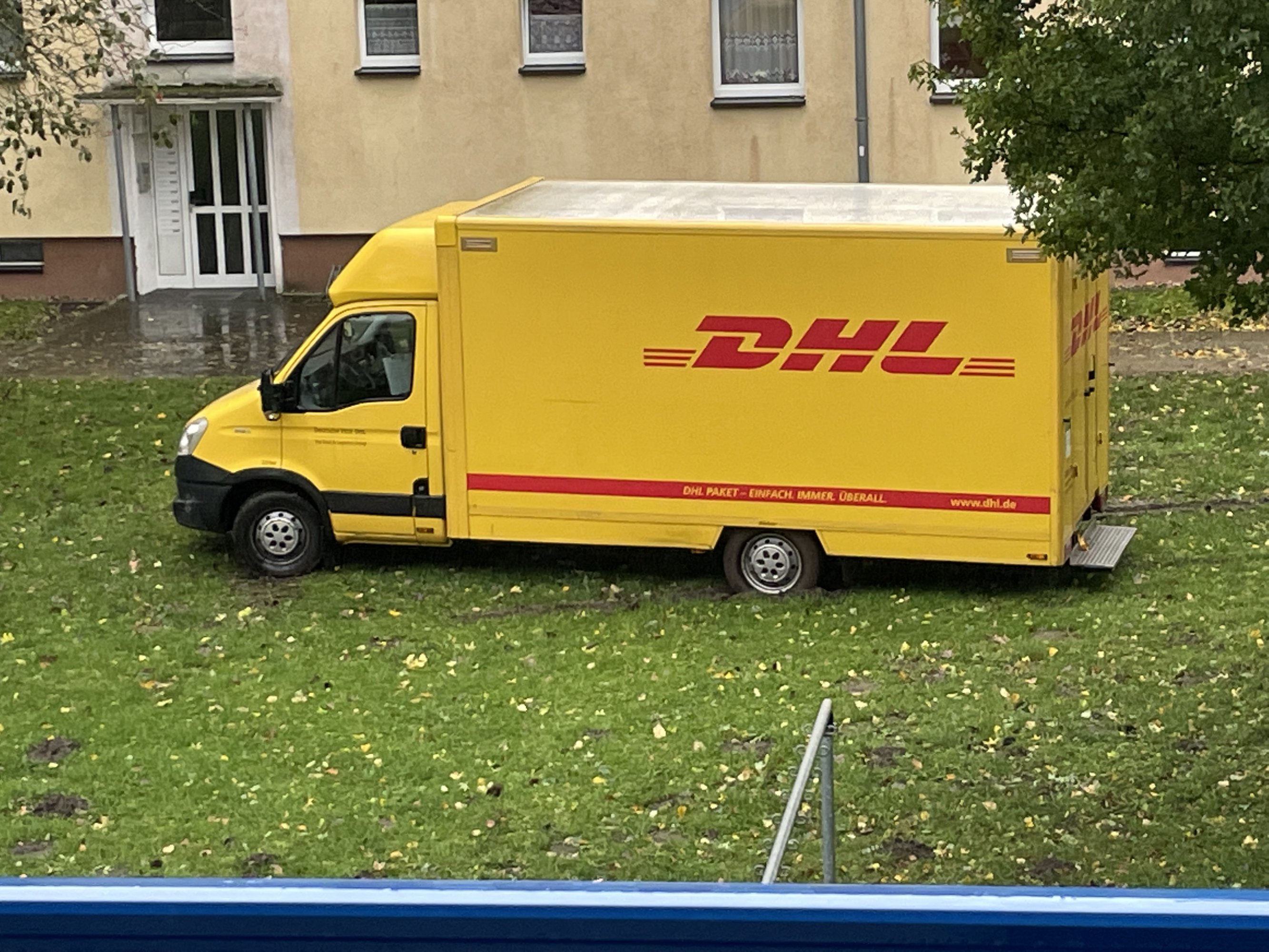 Seltene Aufnahmen in freier Wildbahn