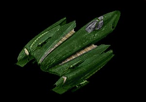 Spearhead01