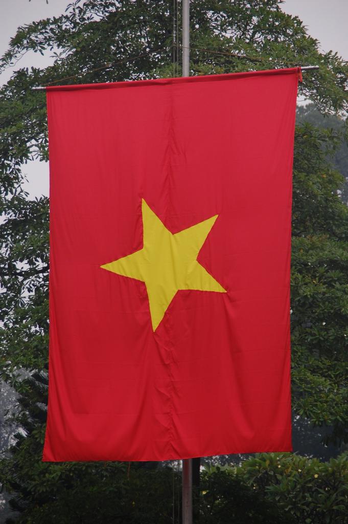 Vietnamesische Flagge