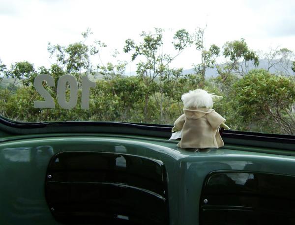 Yoda in der Seilbahn nach Kuranda, Queensland, Australien