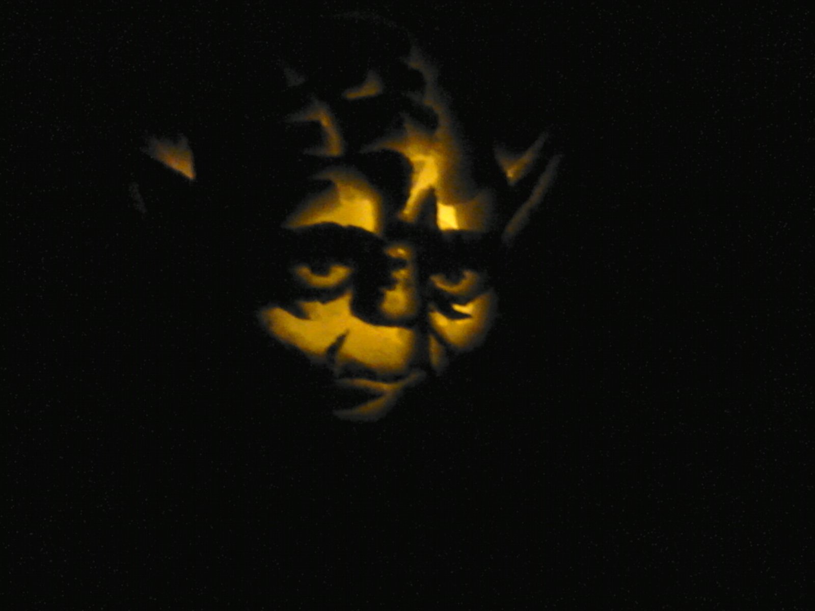 Yoda Kürbiss im Dunklem