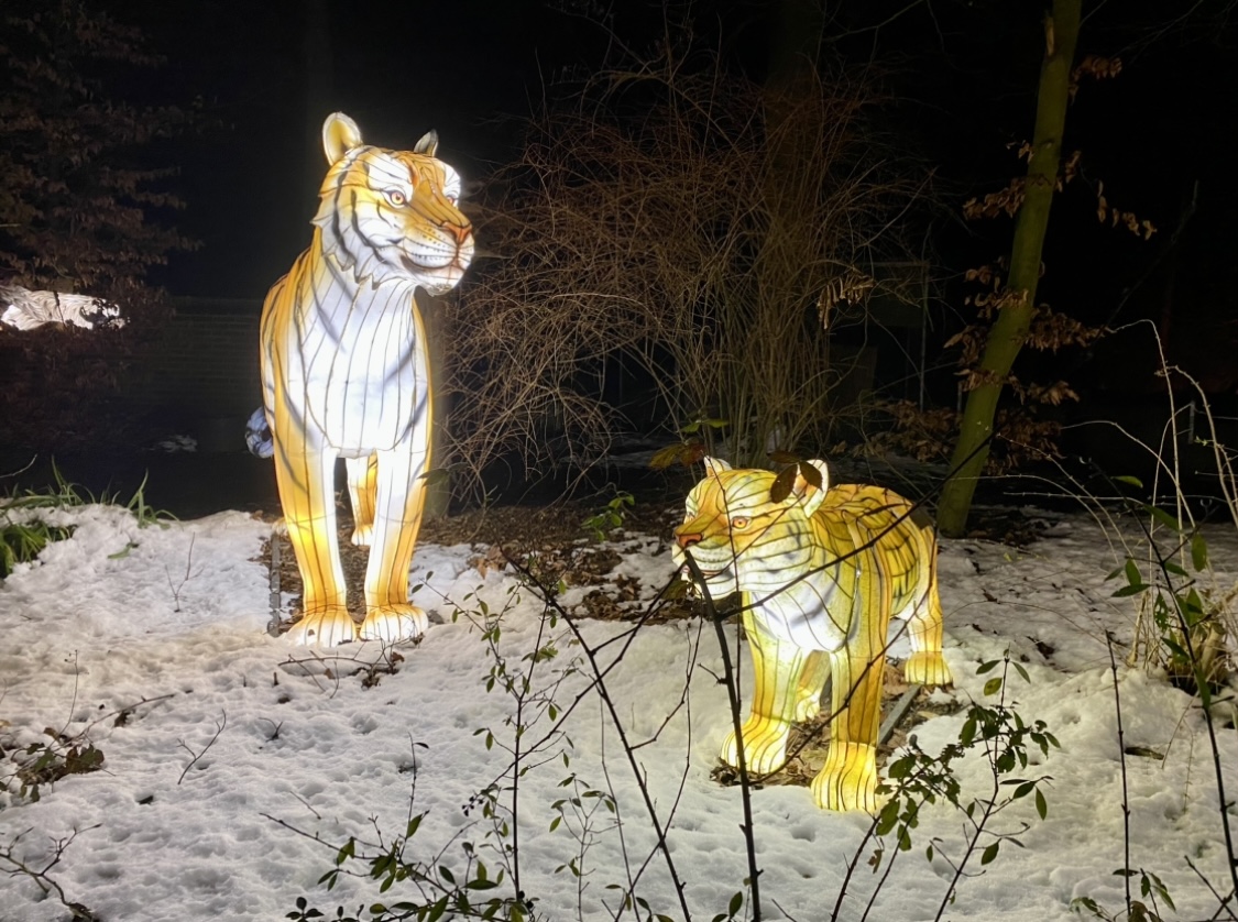 Zoo-Lights Osnabrück