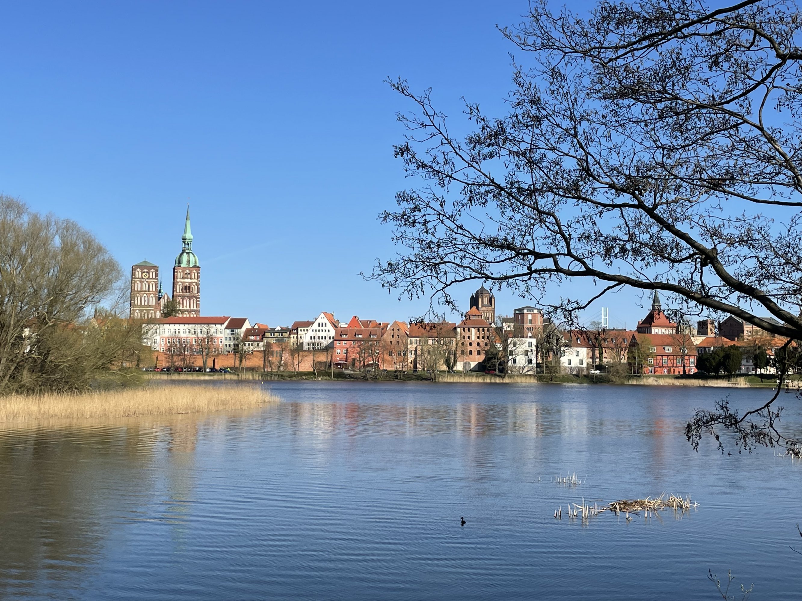 Zurück in Stralsund