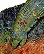 jtattoo.jpg