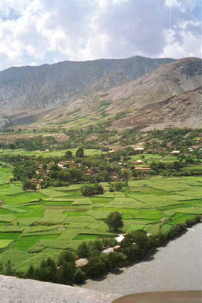 236-chitral-fields.jpg