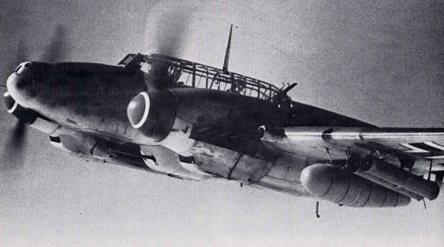 bf100g.jpg