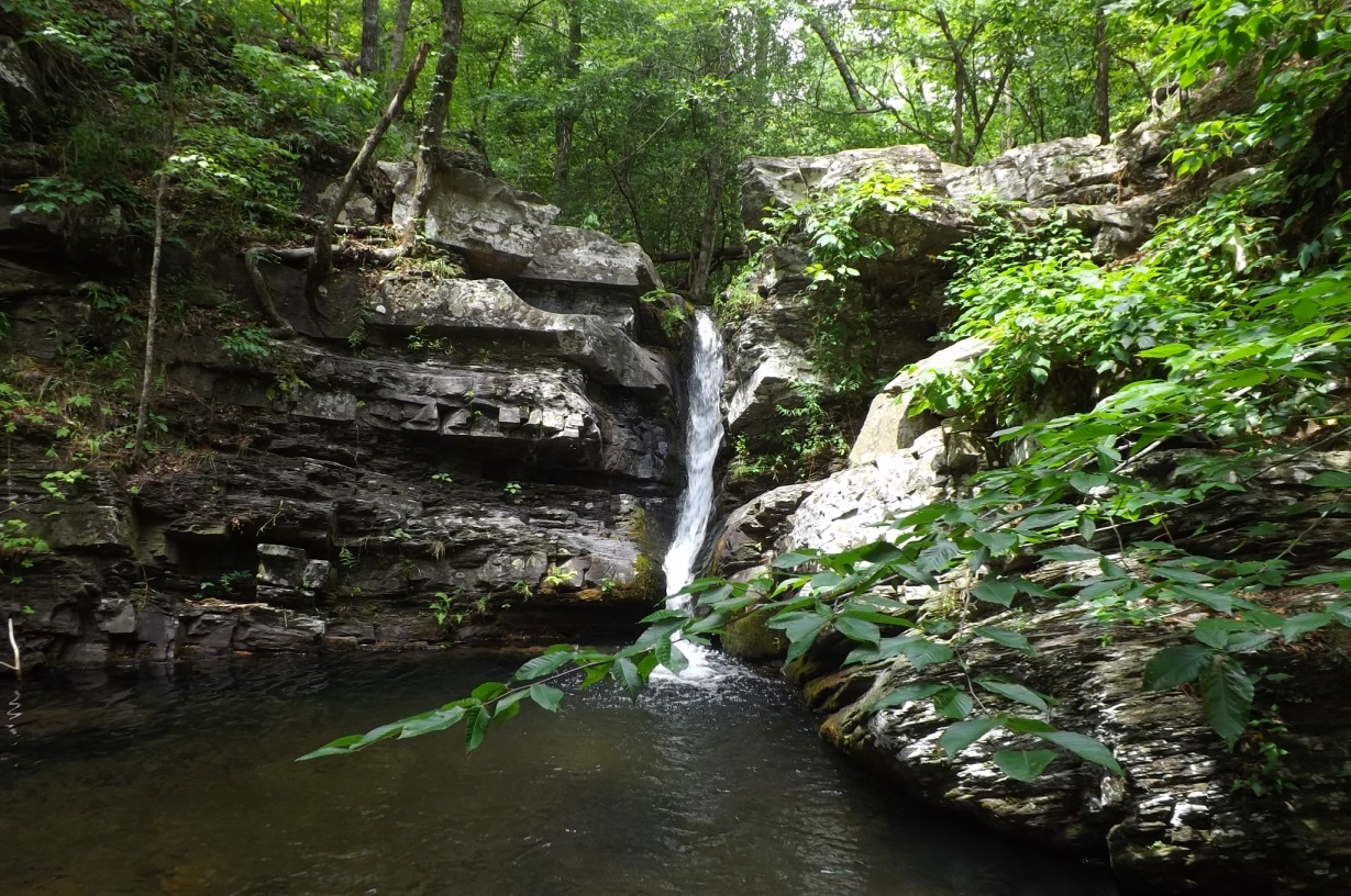 2013-07-13-buckeye-061.jpg