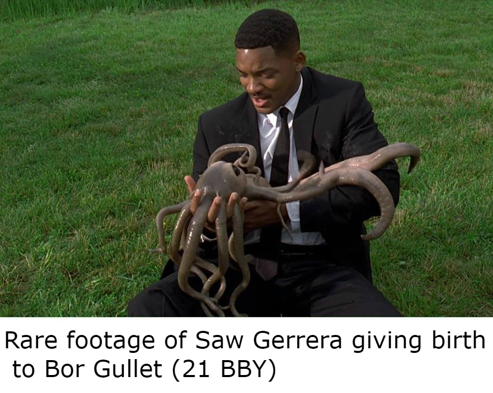radi3bvku1yy.jpg