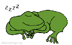 sleeping.gif