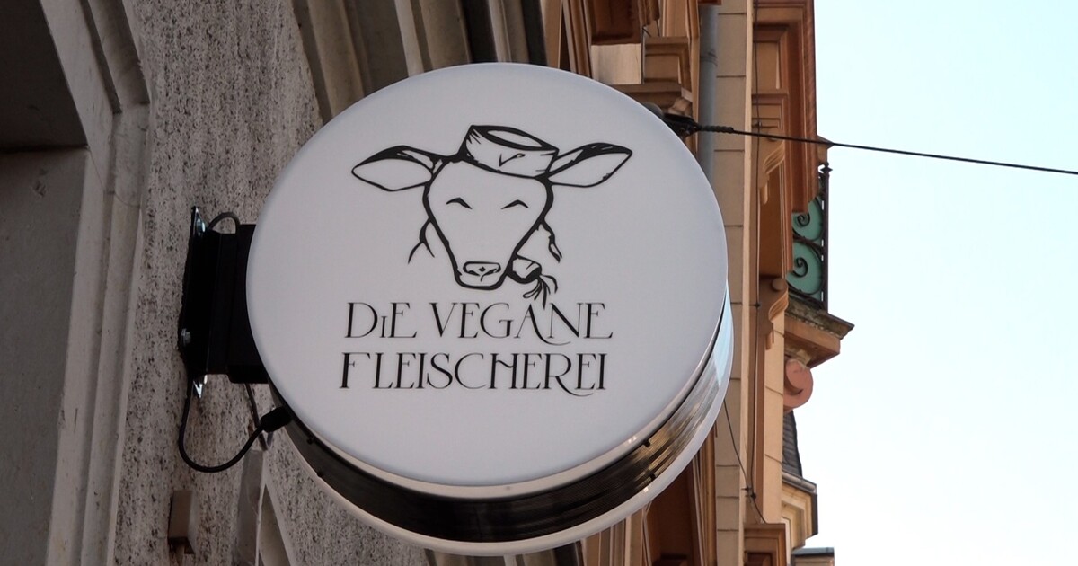www.sachsen-fernsehen.de