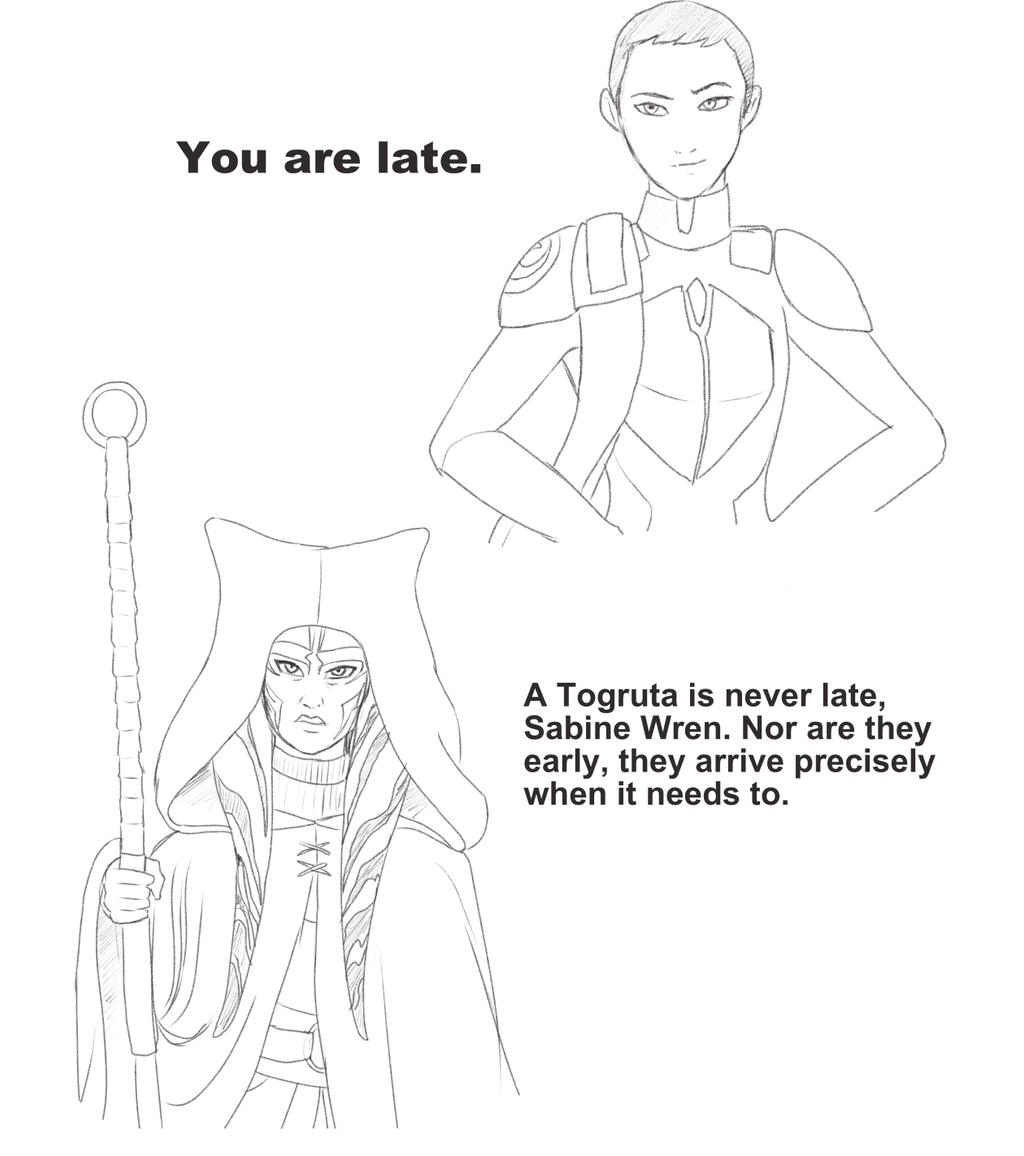 ahsoka_the_grey_by_montano_fausto-dc5jv5j.jpg