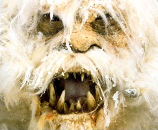 wampa.jpg