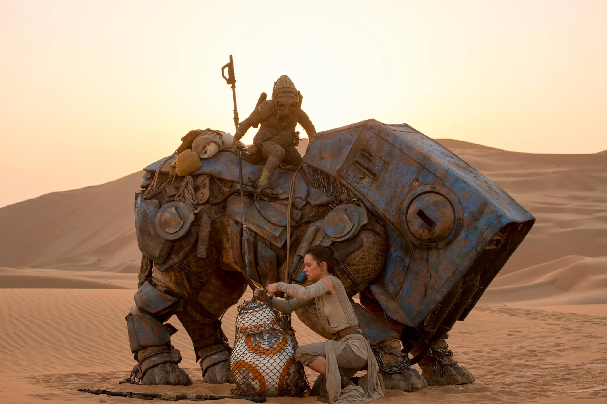Rey-bb8-swtfa.jpg