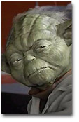 yoda.jpg