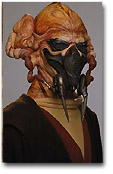 plo.jpg