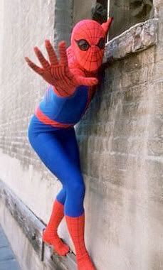 spiderman_hammondpg.jpg