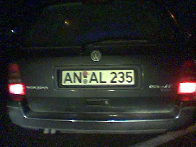anal.jpg