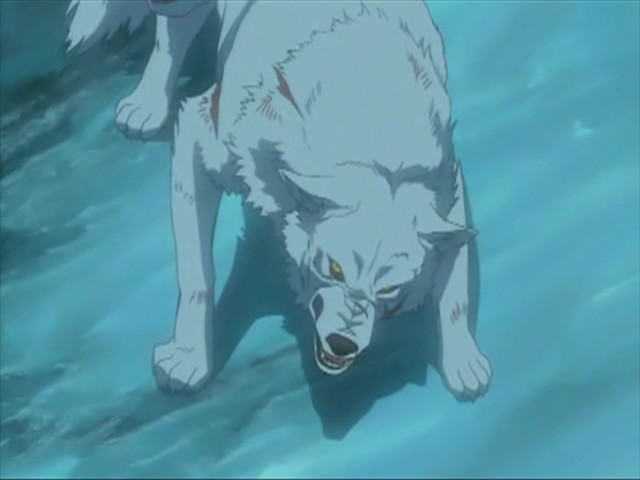 kiba18.jpg