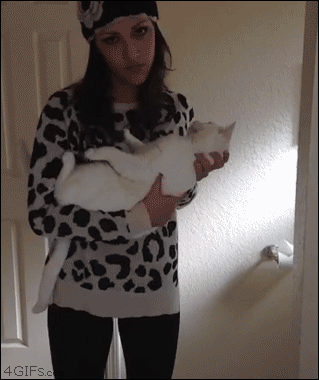 Upside-down-cat-wall-walk.gif
