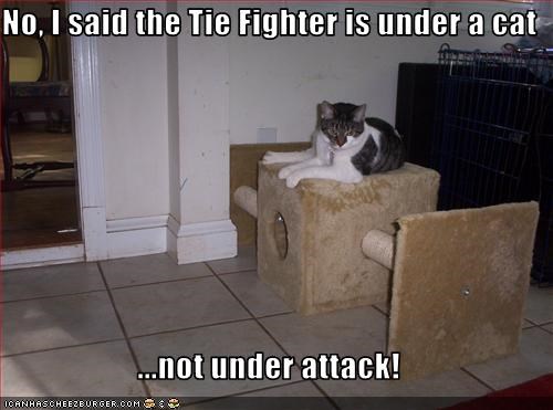 no-i-said-the-tie-fighter-is-under-a-cat-not-under-attack