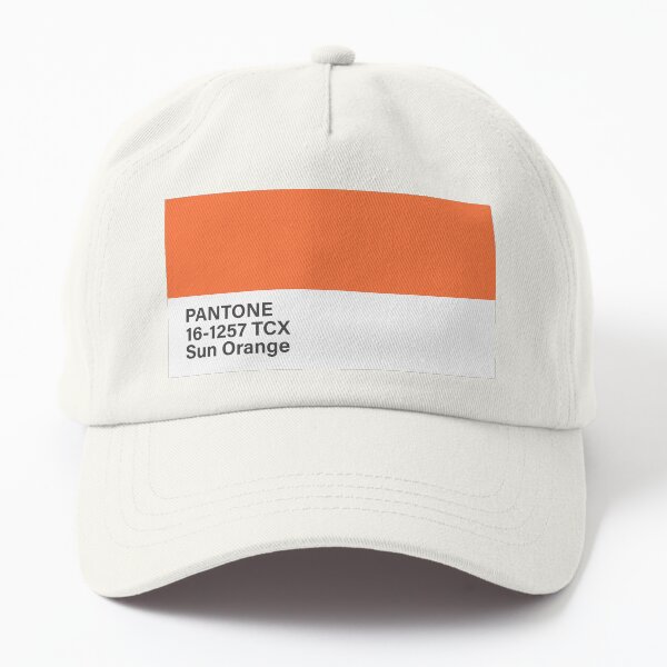ssrco,dad_hat,product,FFFDF5:8c3db69414,front,square,600x600-bg,f8f8f8.jpg