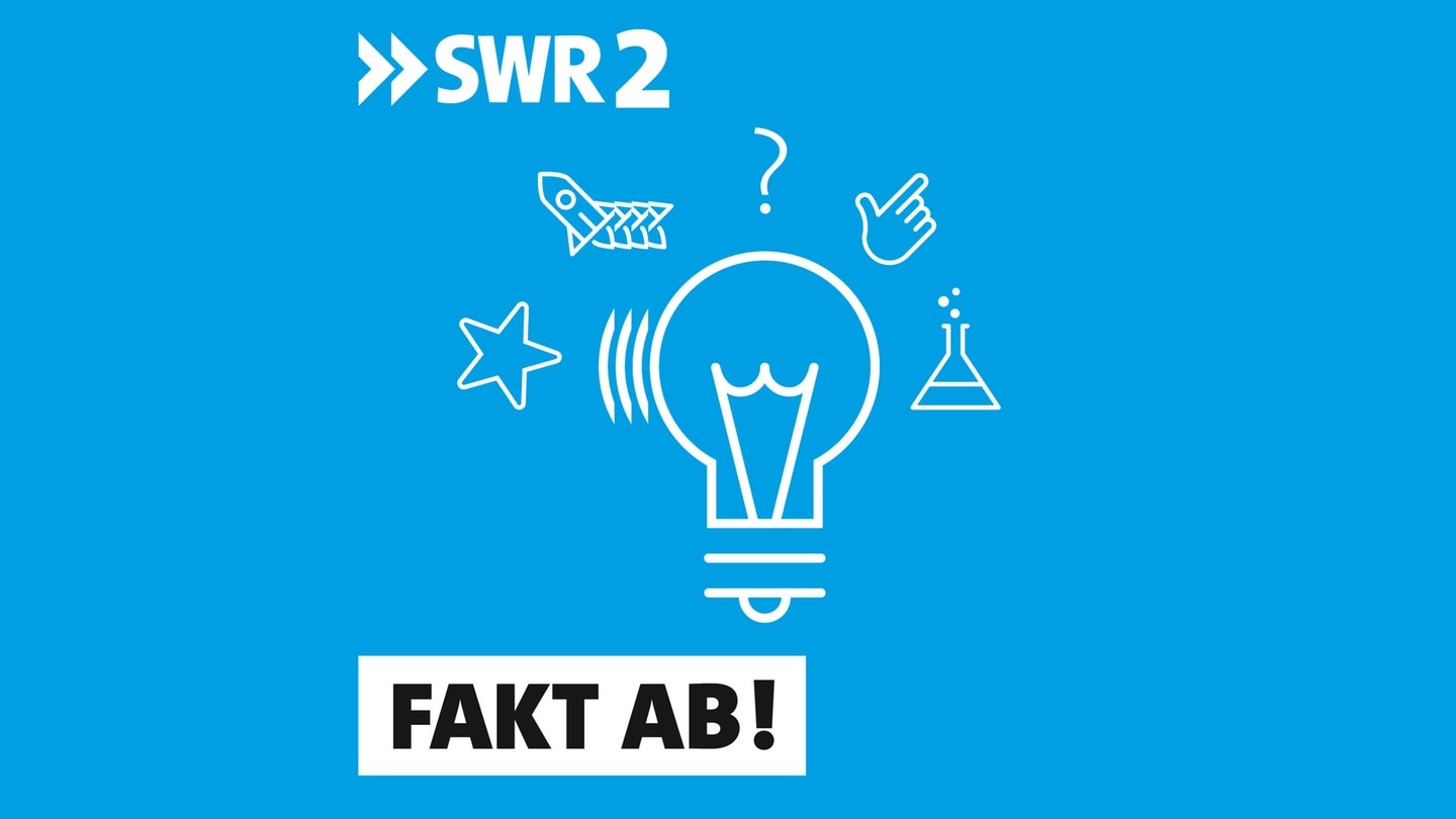 www.swr.de